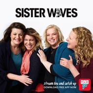 Who are the Sister Wives?